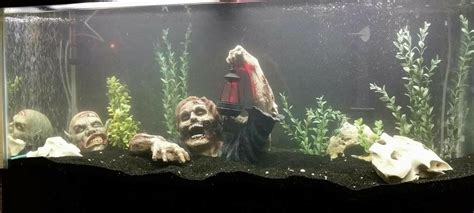 zombie fish tank|zombie fish tank accessories.